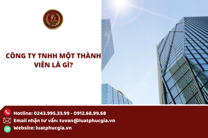 Công ty TNHH một thành viên là gì?