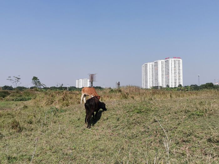 Đánh thuế đất bỏ hoang, chặn tình trạng phát hành trái phiếu lấy tiền gom đất