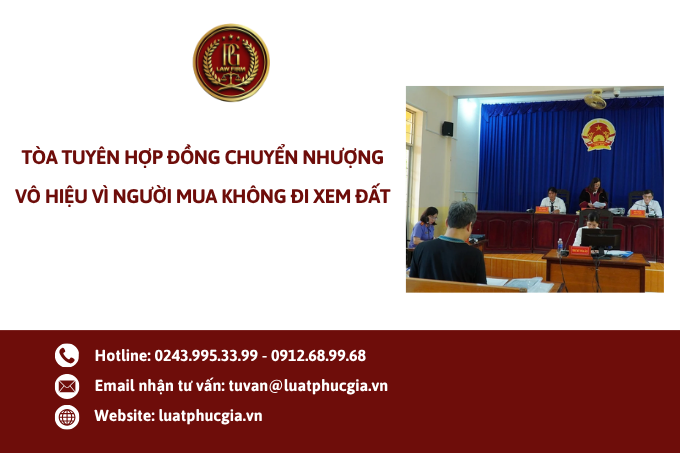 Tòa tuyên hợp đồng chuyển nhượng vô hiệu vì người mua không đi xem đất